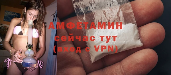 индика Баксан