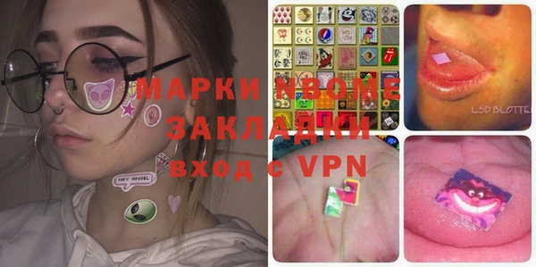 индика Баксан